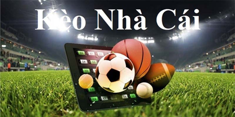 Khám phá những thể loại cược các bet thủ nên thử